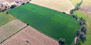 565 E Main Canyon Road, Wallsburg, UT 84082