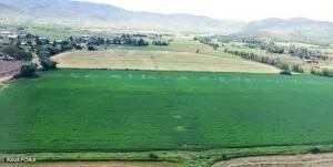 565 E Main Canyon Road, Wallsburg, UT 84082