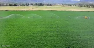 565 E Main Canyon Road, Wallsburg, UT 84082