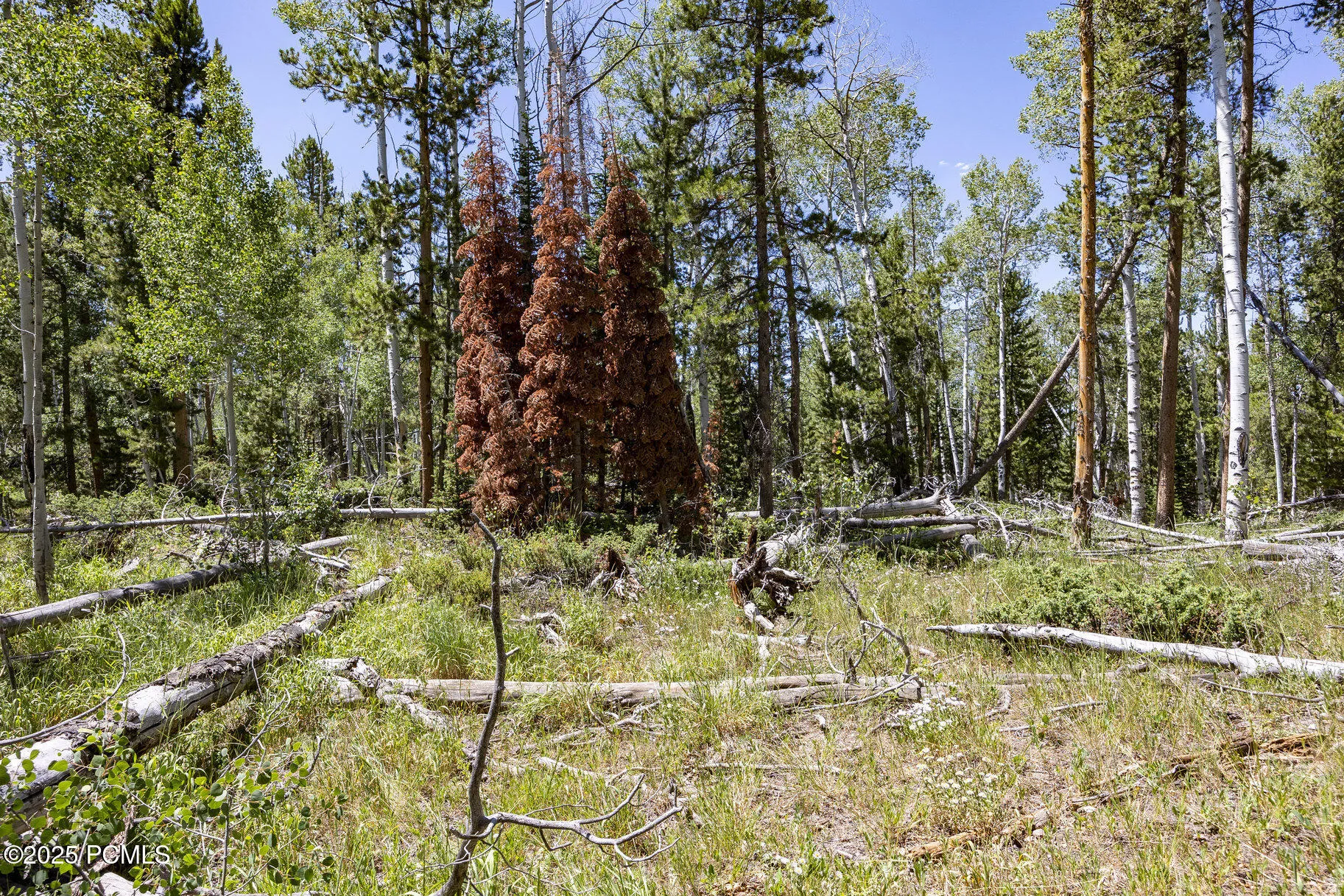 Lot 69a, Unita Shadows, Kamas, UT 84036