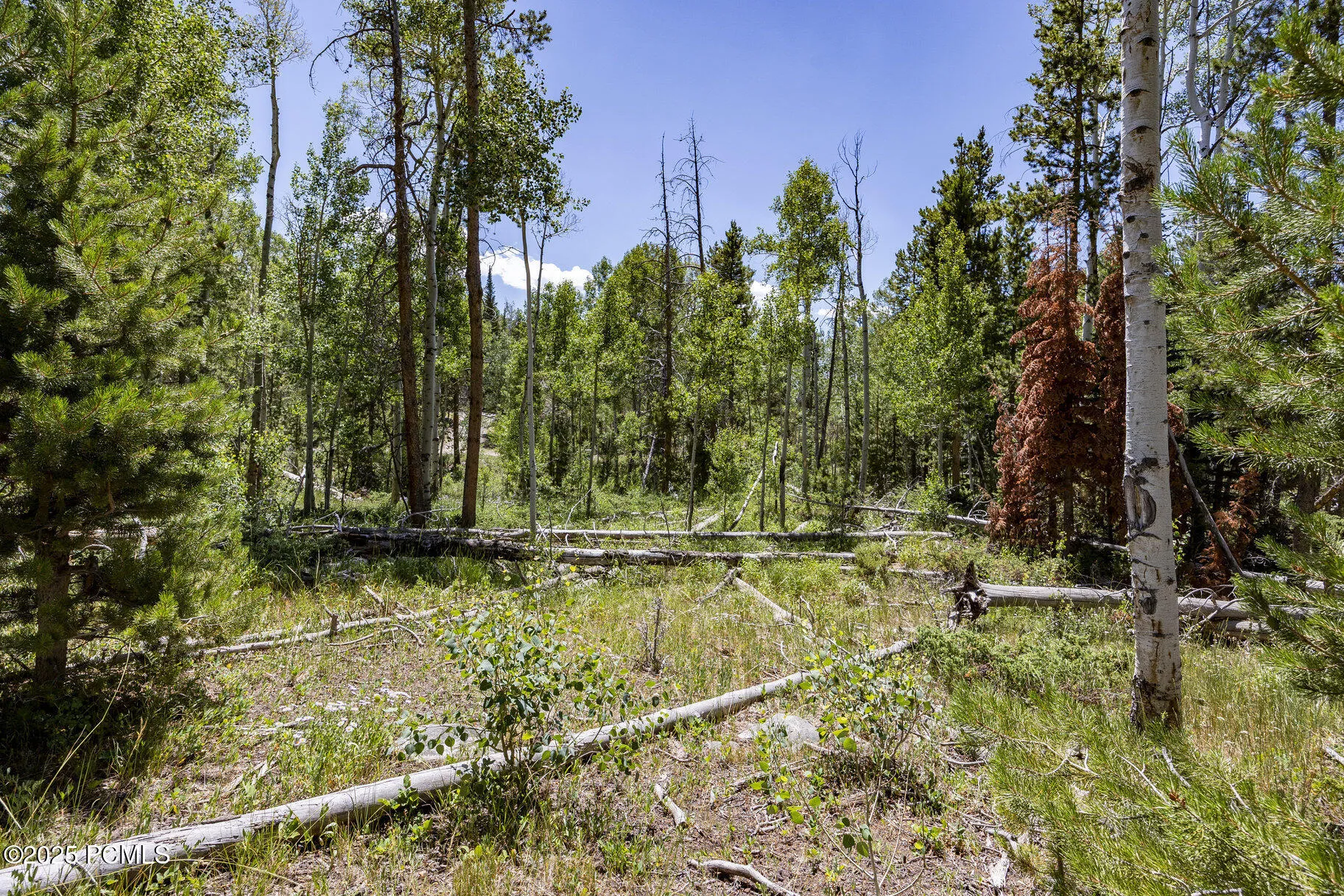 Lot 69a, Unita Shadows, Kamas, UT 84036
