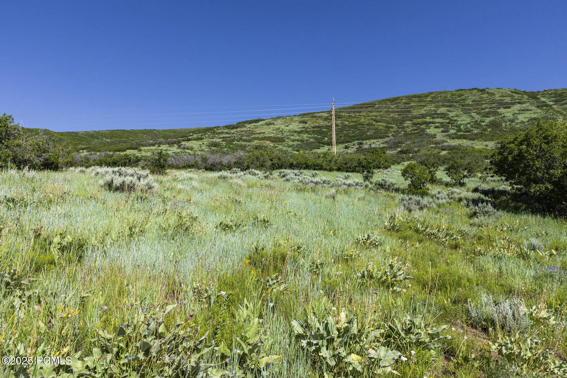 926 S Upland Loop, Midway, UT 84049