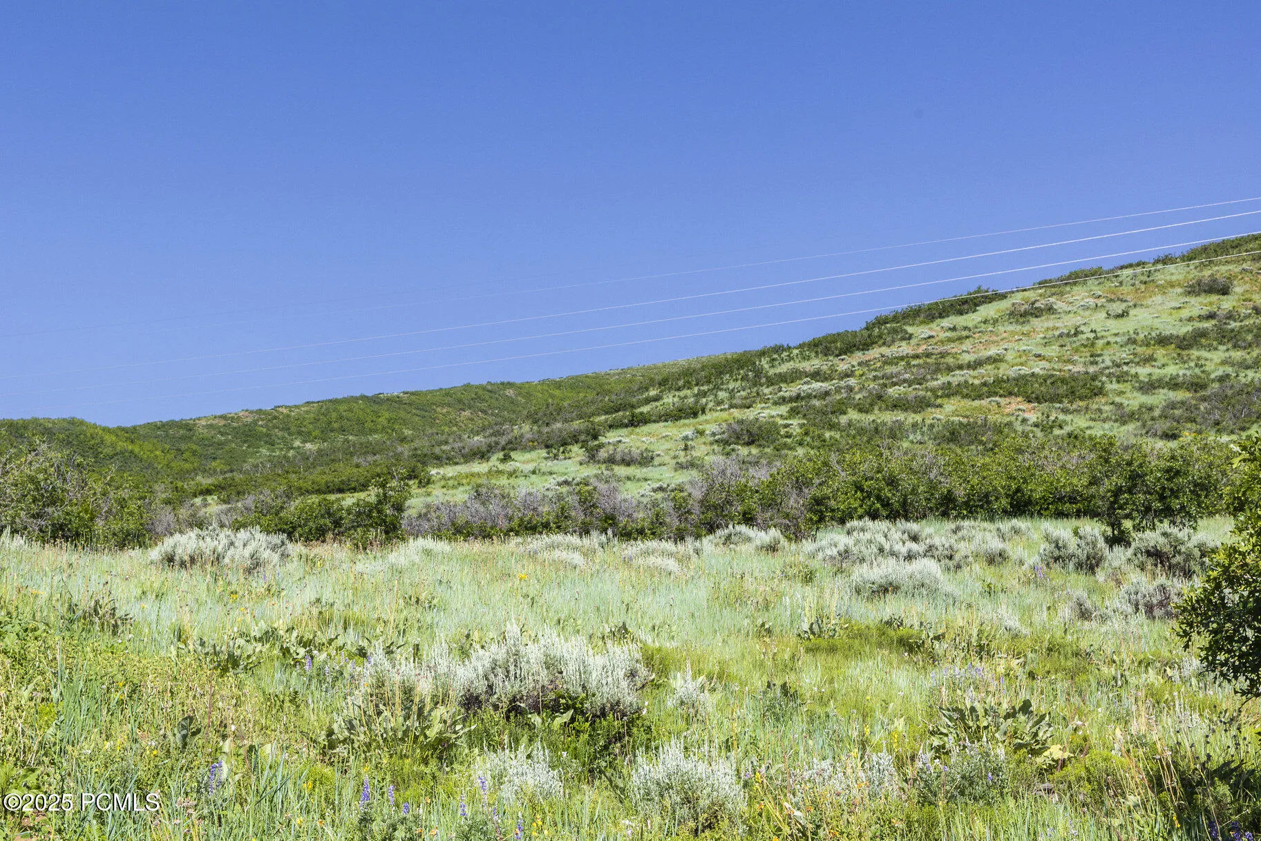 926 S Upland Loop, Midway, UT 84049