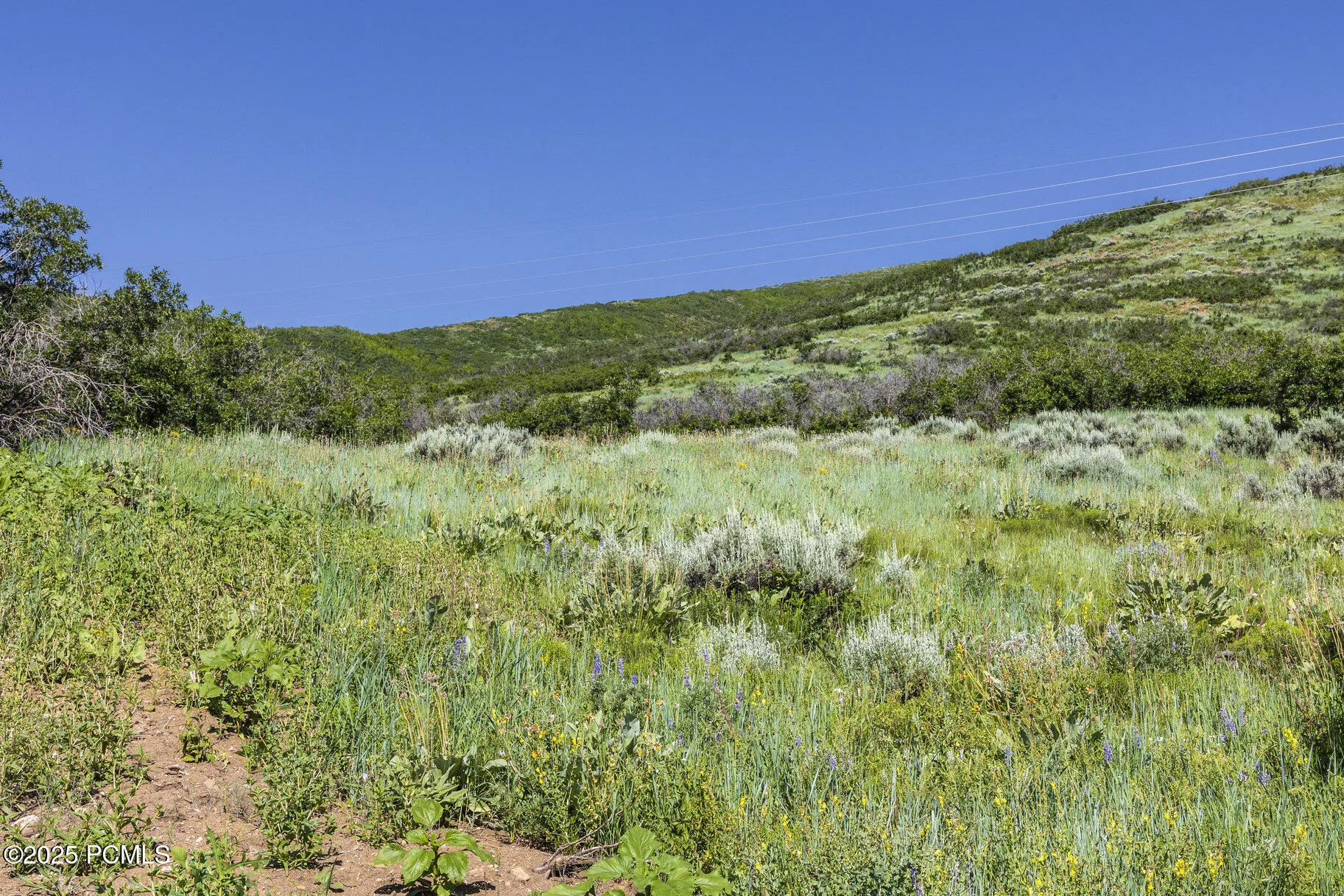 926 S Upland Loop, Midway, UT 84049