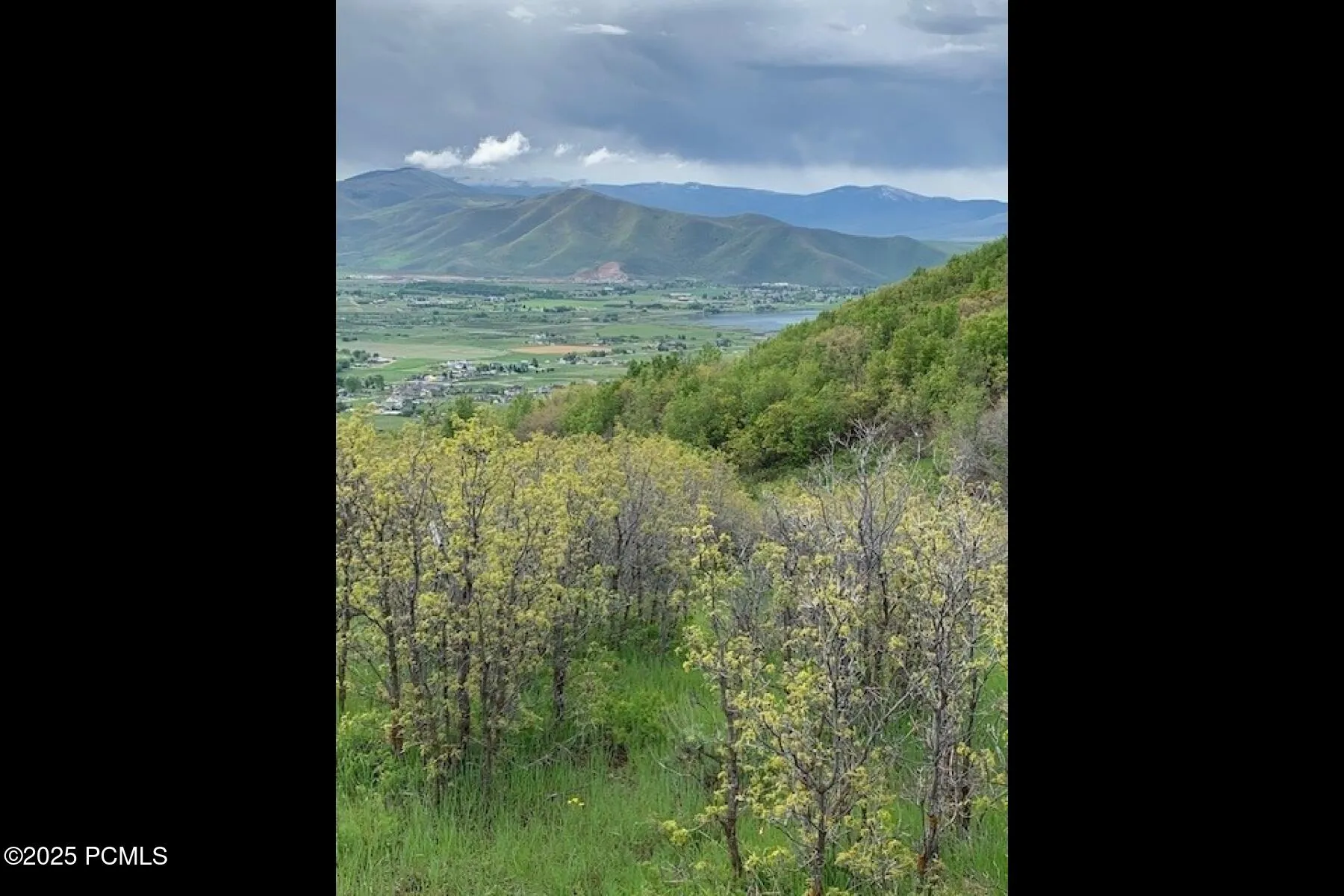 81 W Switzer Drive, Midway, UT 84049