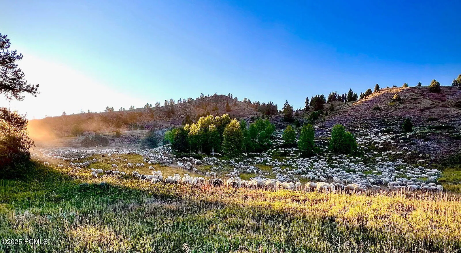 Pony Express Road, Ibapah, UT 84034