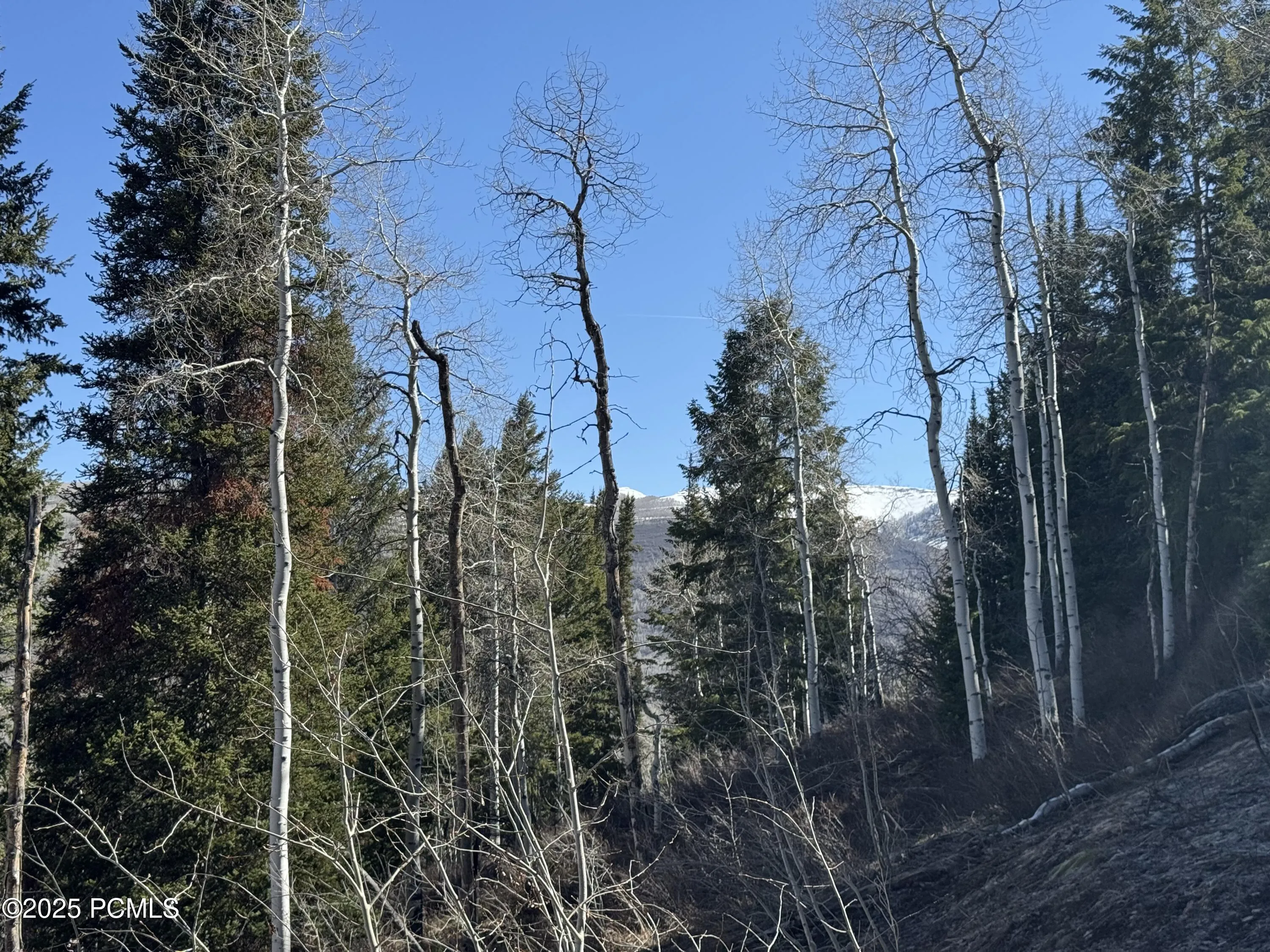 661 Red Fir Way, Oakley, UT 84055