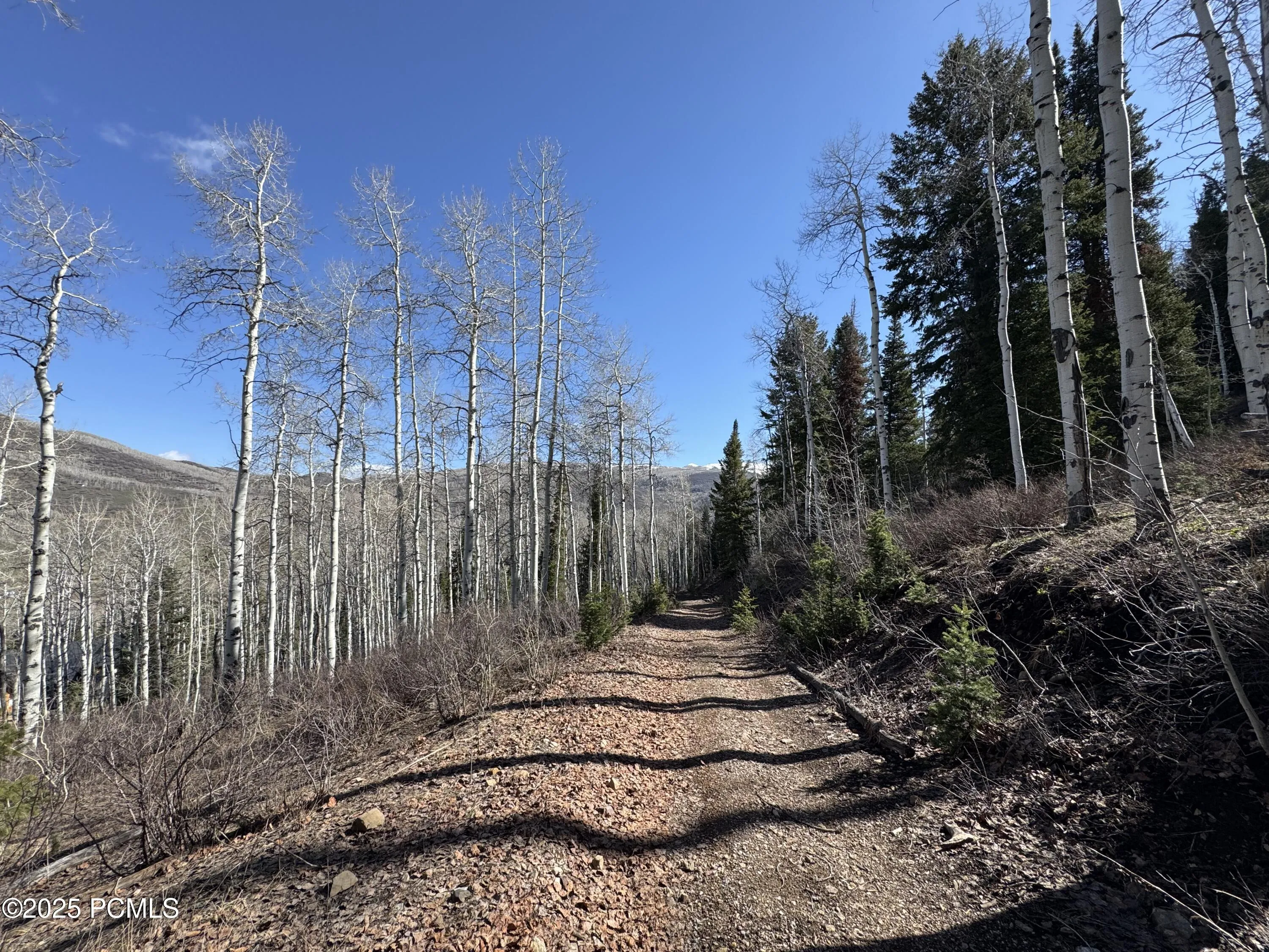 662 Red Fir Way, Oakley, UT 84055