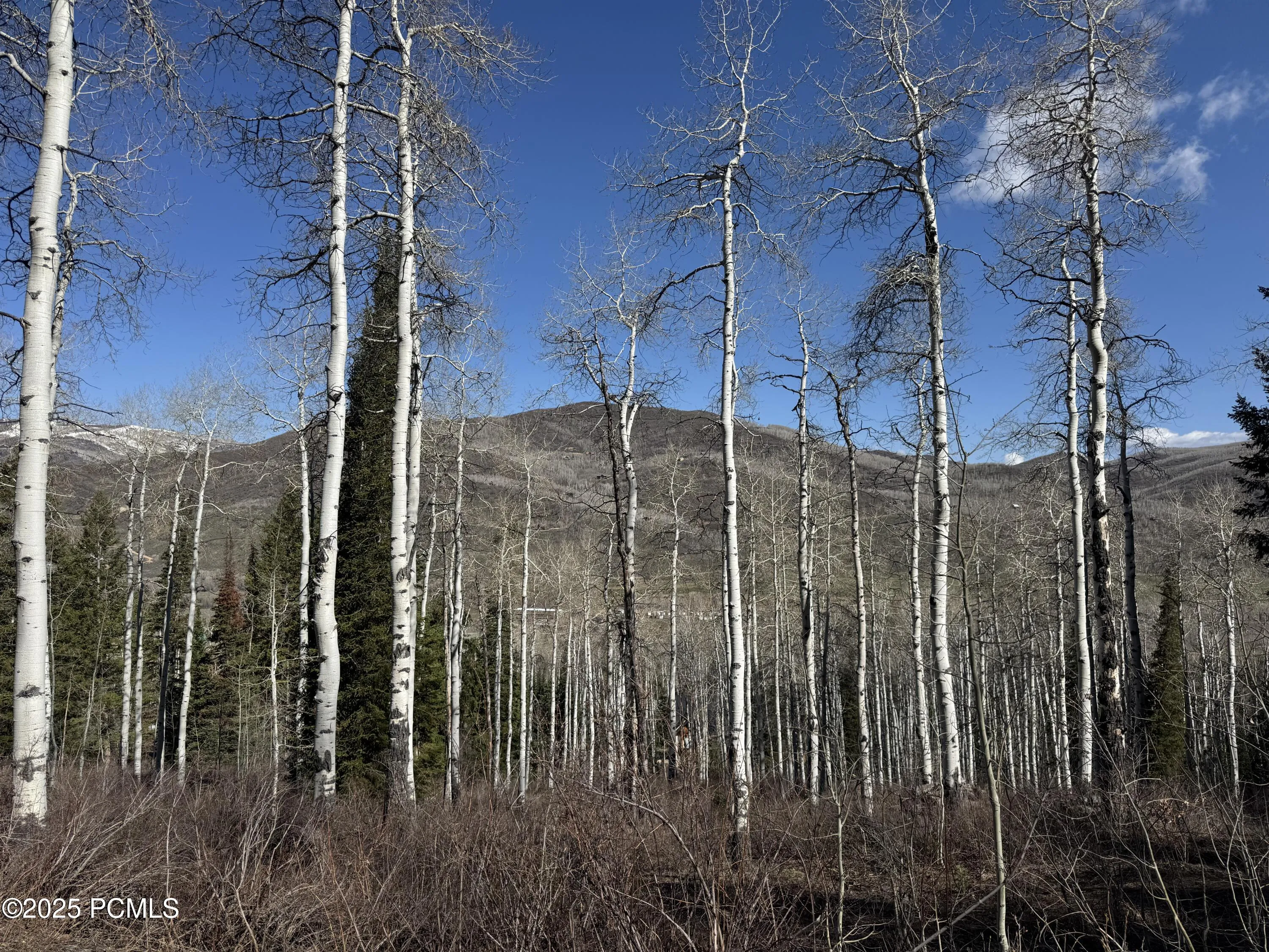 663 Red Fir Way, Oakley, UT 84055
