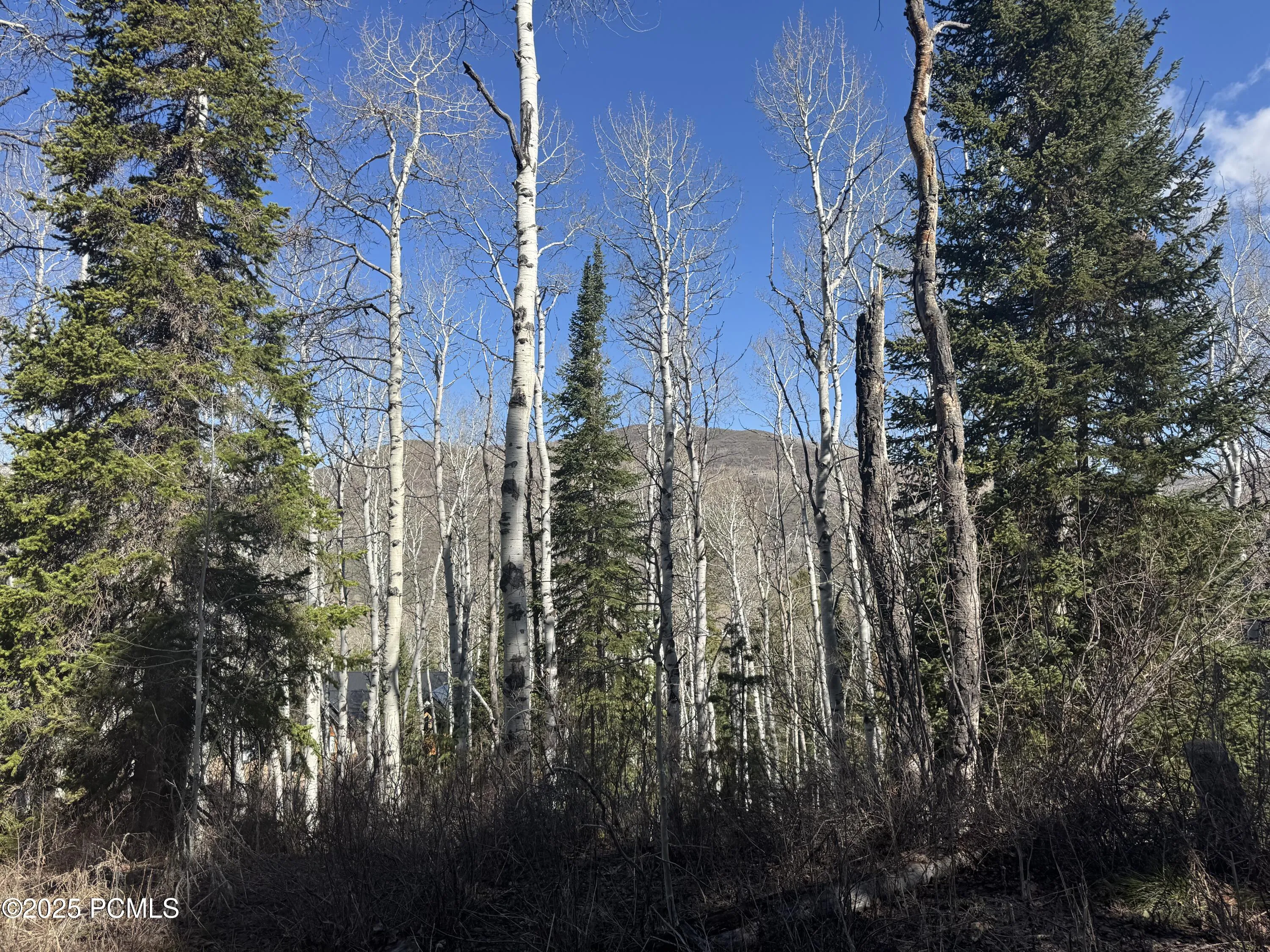 663 Red Fir Way, Oakley, UT 84055