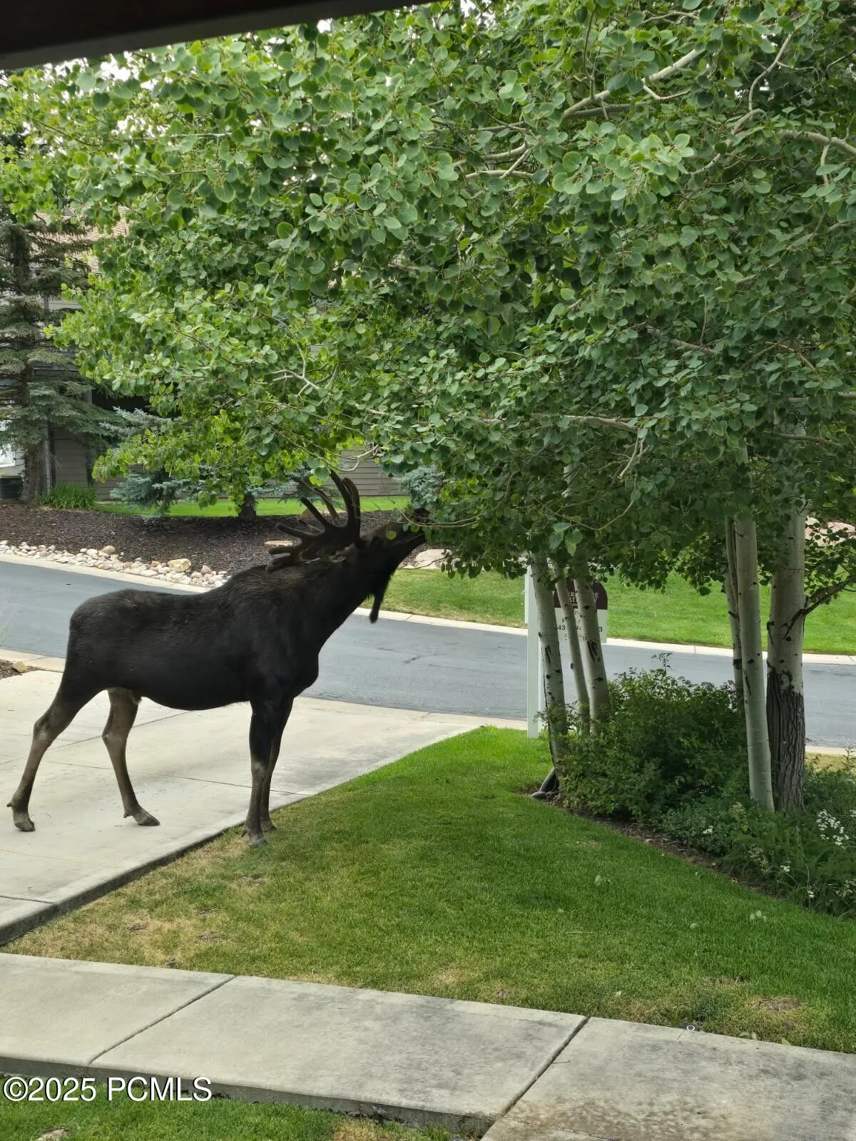3922 View Pointe Drive, Park City, UT 84098
