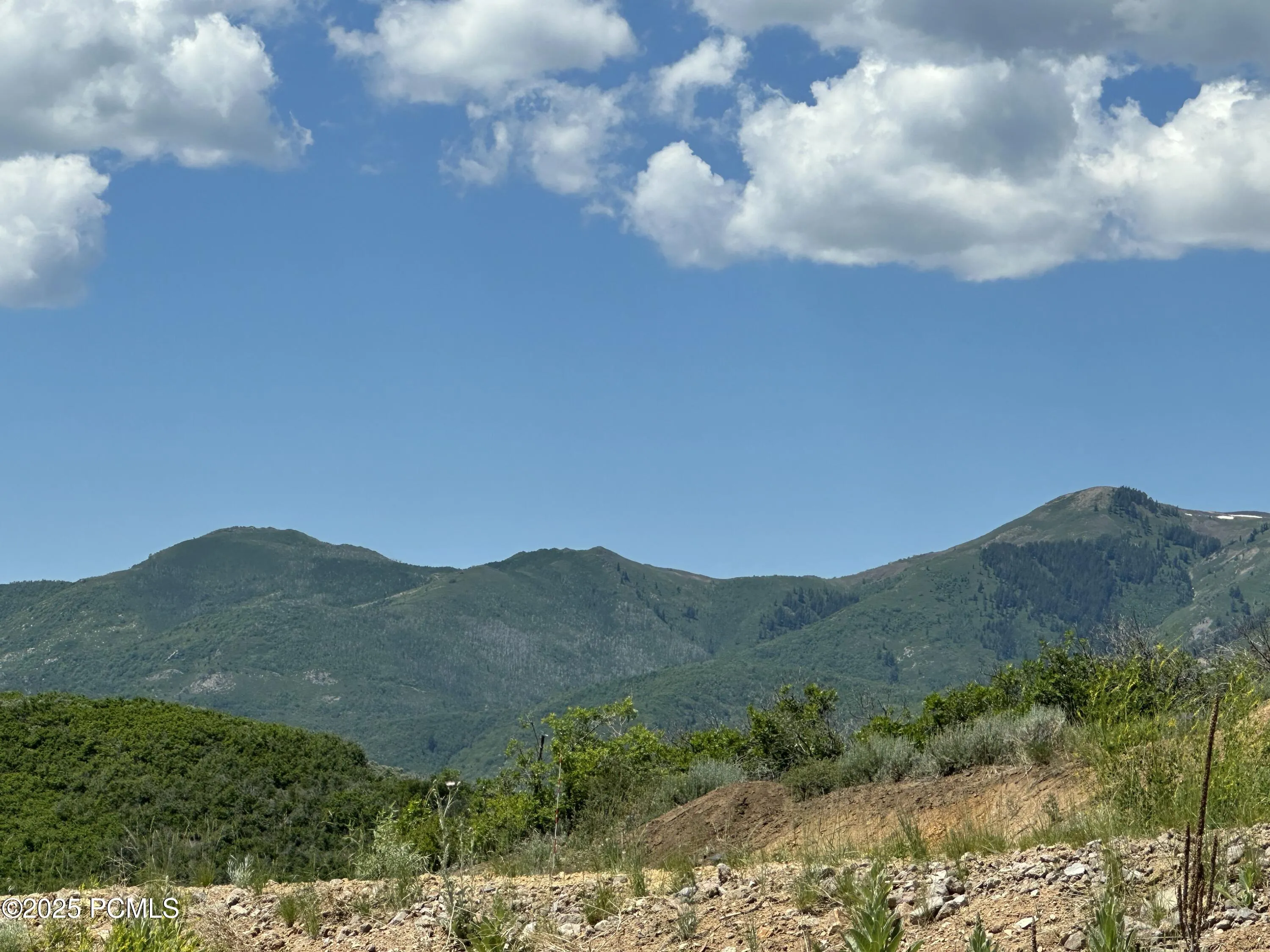 1354 E Gleaming Hills Way, Kamas, UT 84036
