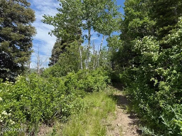 9612 S 2675, Salt Lake City, UT 84109