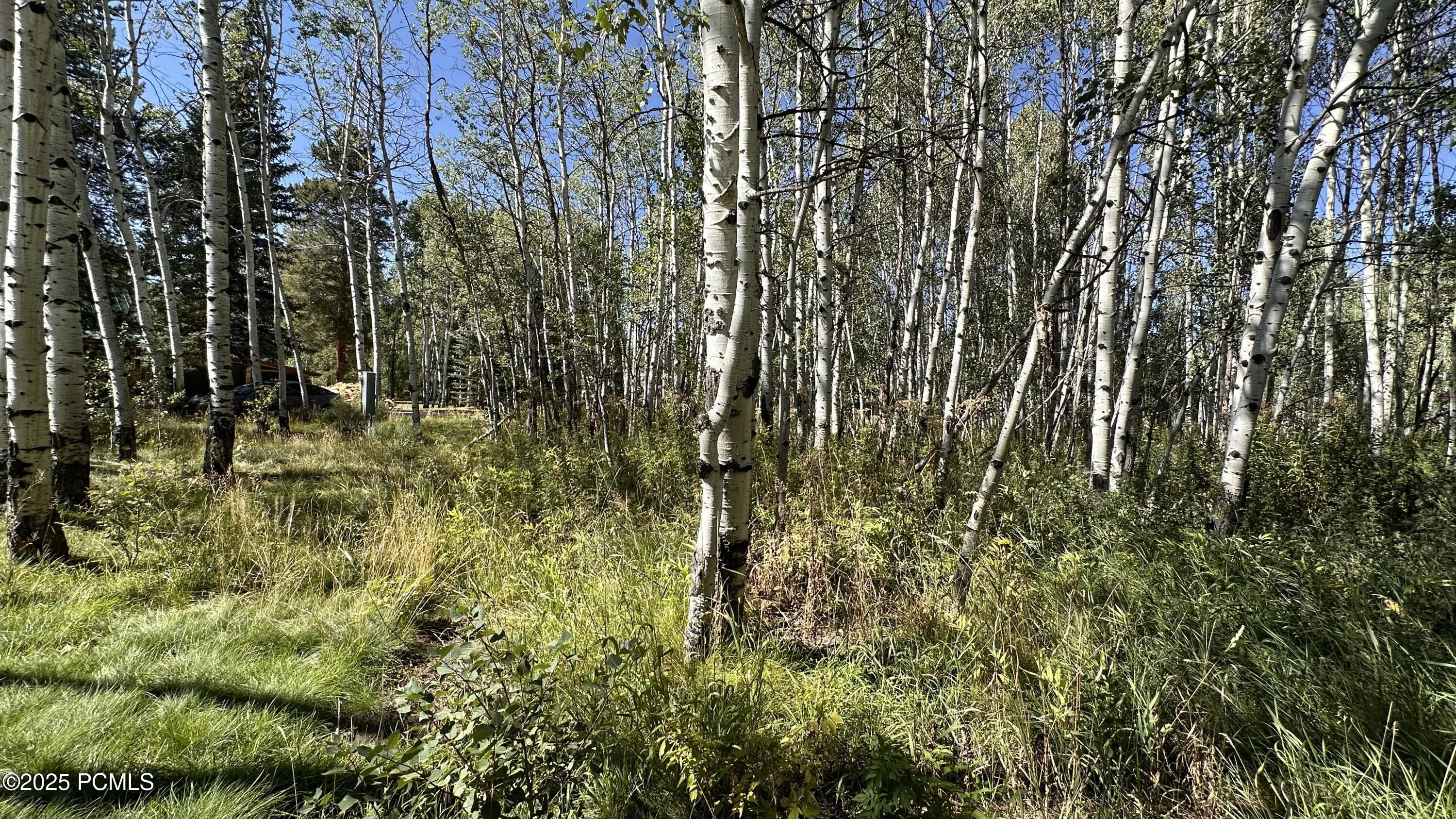 6190 Diamond Dell Circle, Kamas, UT 84036