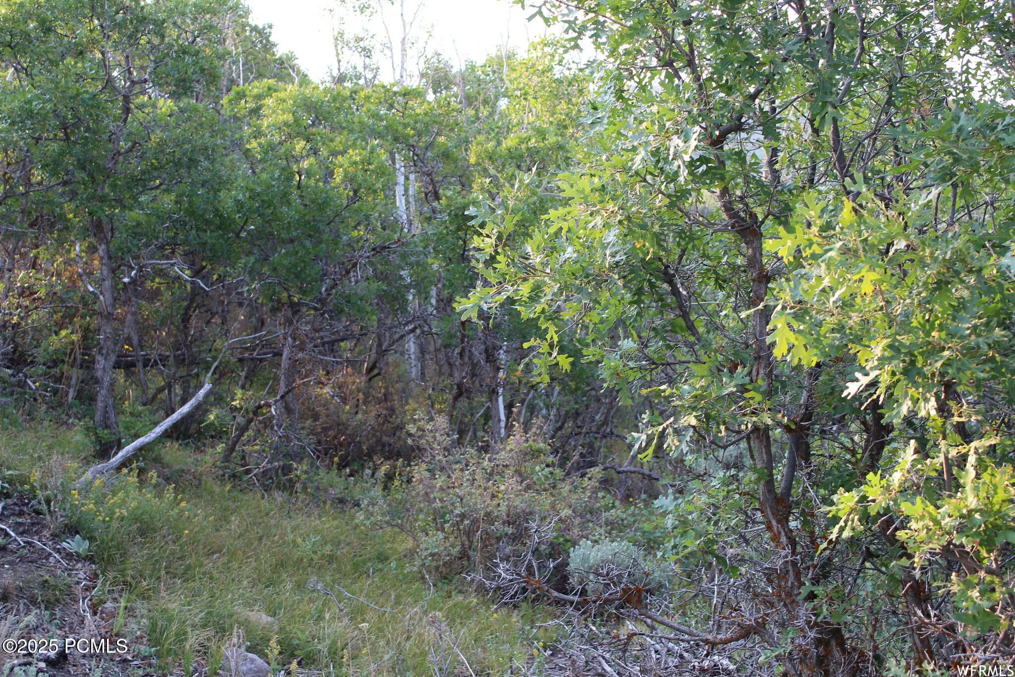 1747 S Beaver Bench Road, Heber City, UT 84032