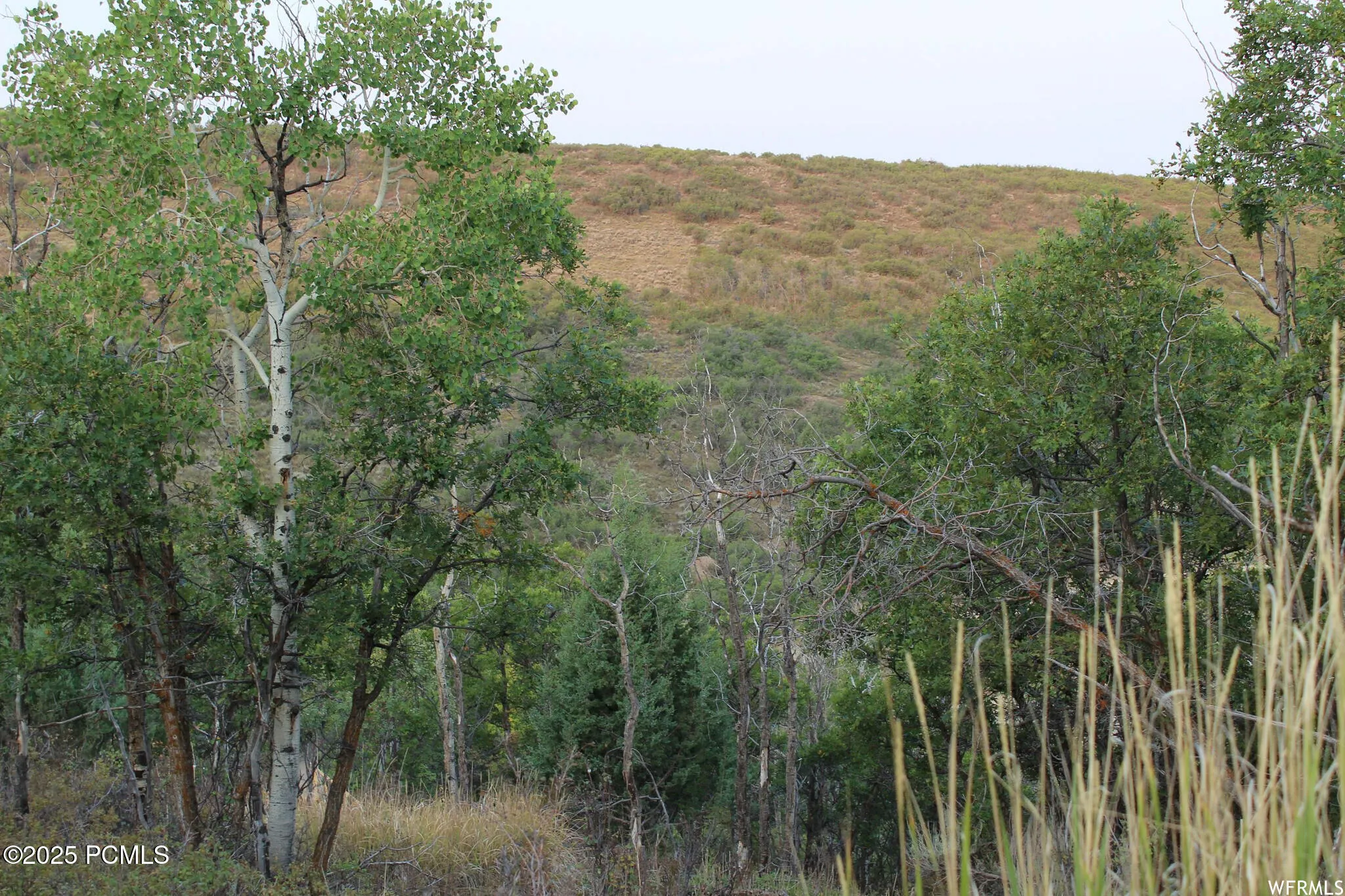 1747 S Beaver Bench Road, Heber City, UT 84032