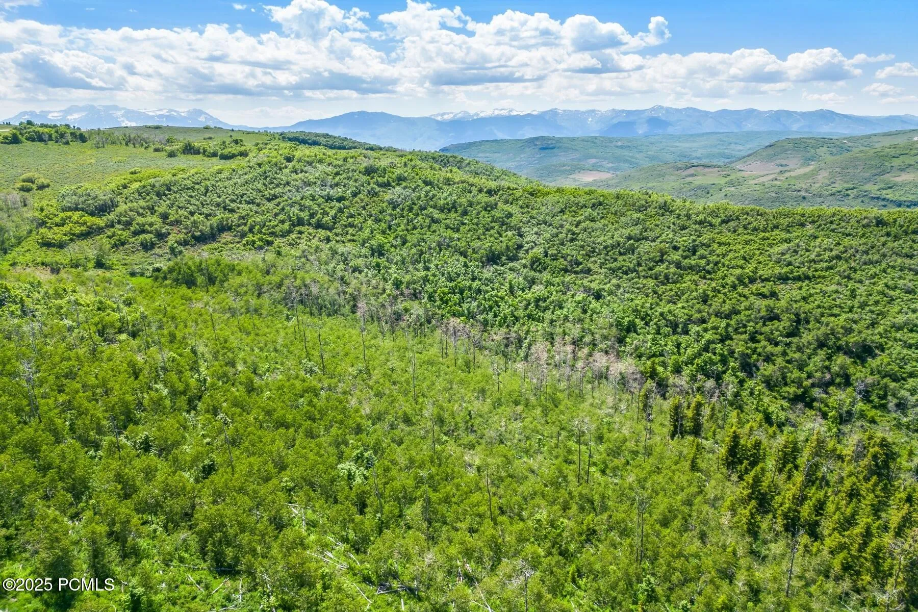 8427 E Aspen Ridge Road, Kamas, UT 84036