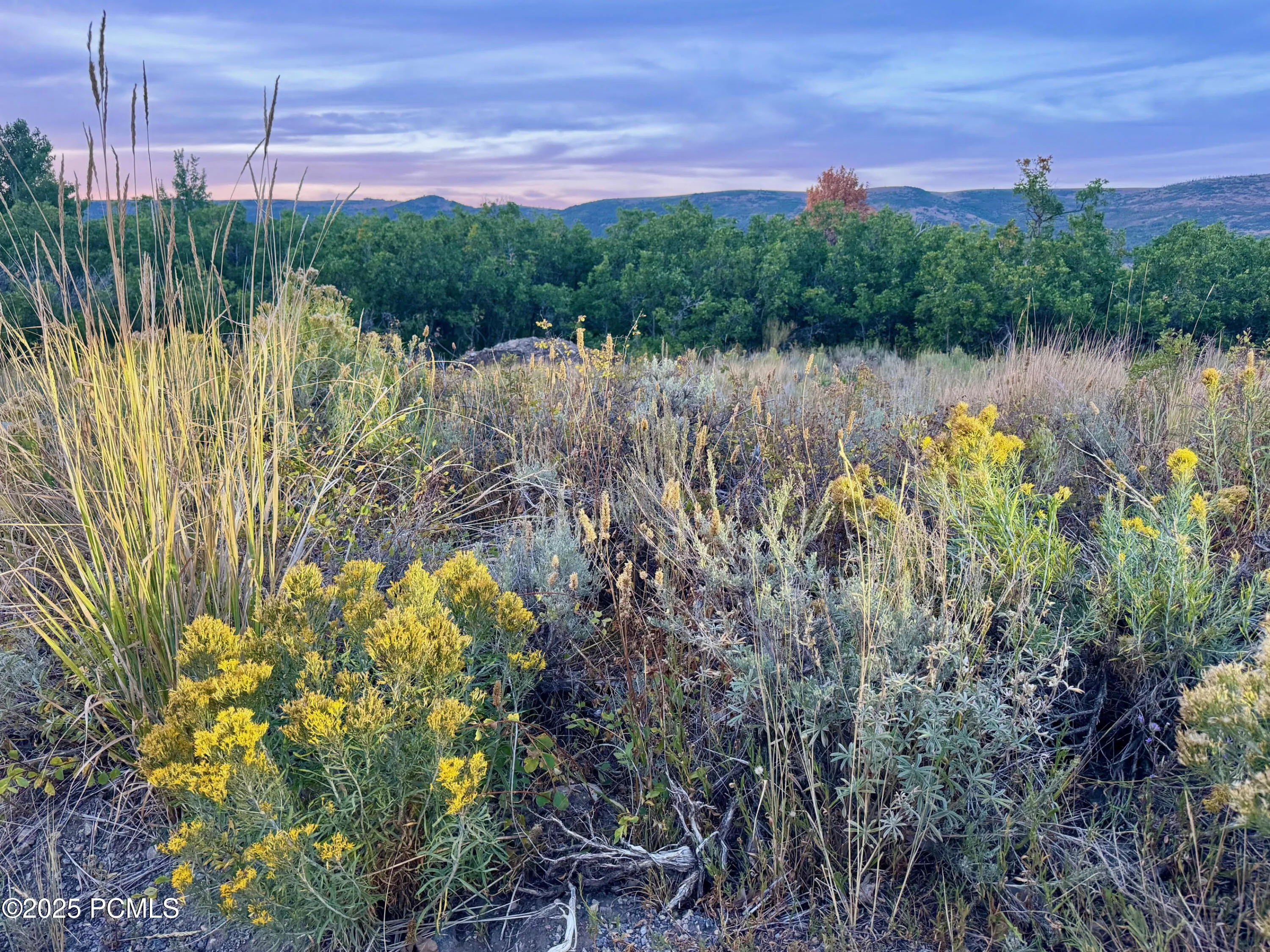 9195 Deer Creek Drive, Heber City, UT 84032