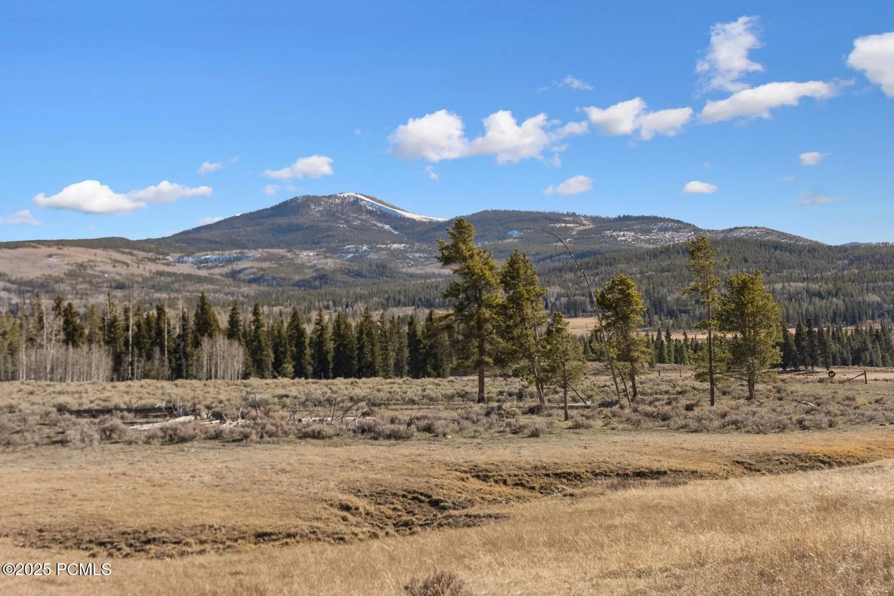 Forest Service Road, Kamas, UT 84036