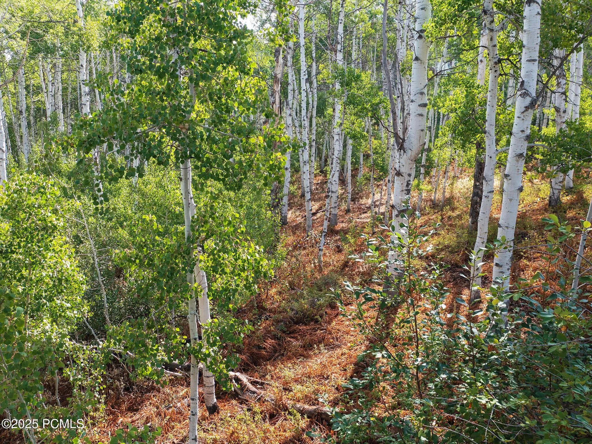 2919 Green Briar Way, Heber City, UT 84032