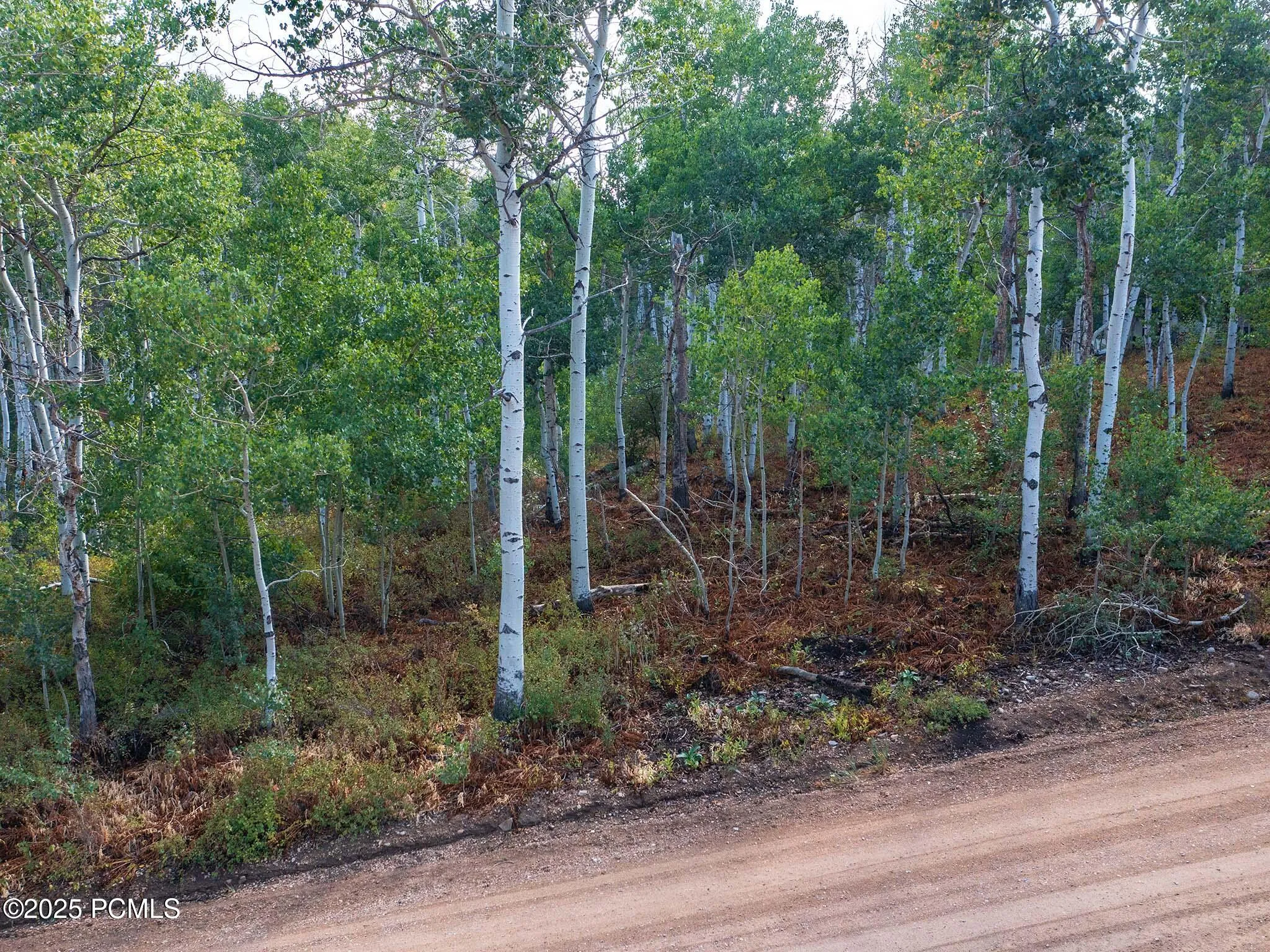 2919 Green Briar Way, Heber City, UT 84032