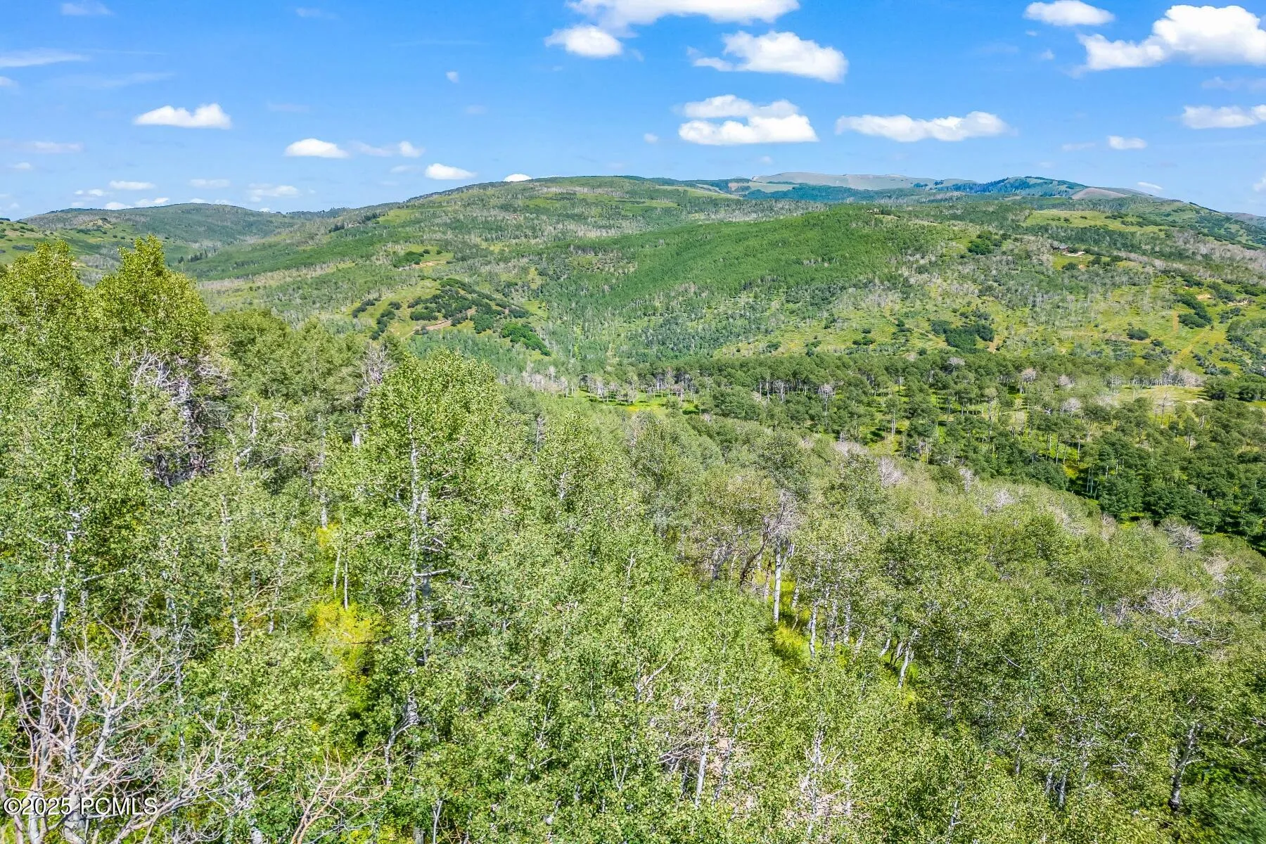 11708 Canyon Rim Road , Oakley, UT 84055