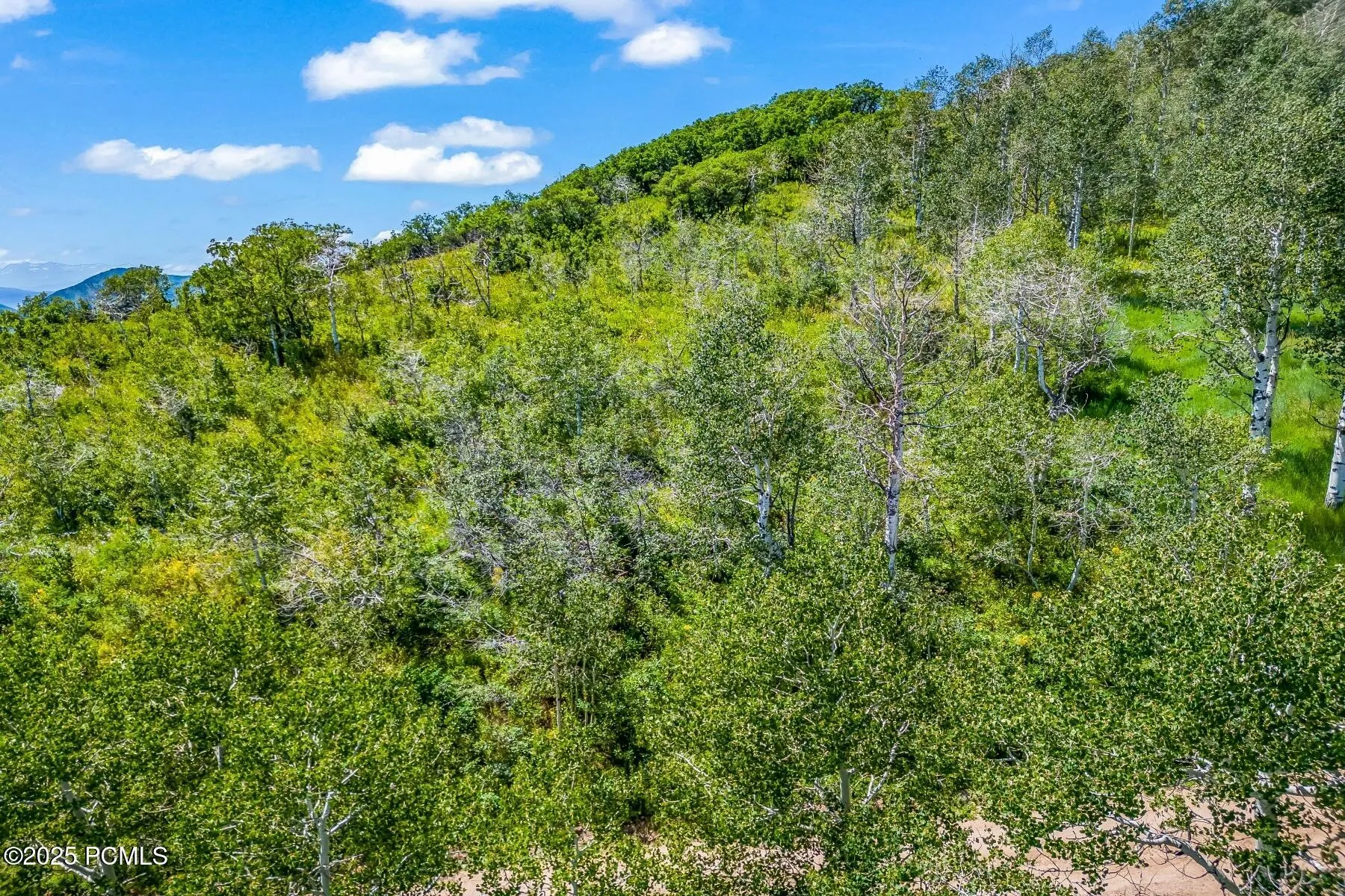 11708 Canyon Rim Road, Oakley, UT 84055