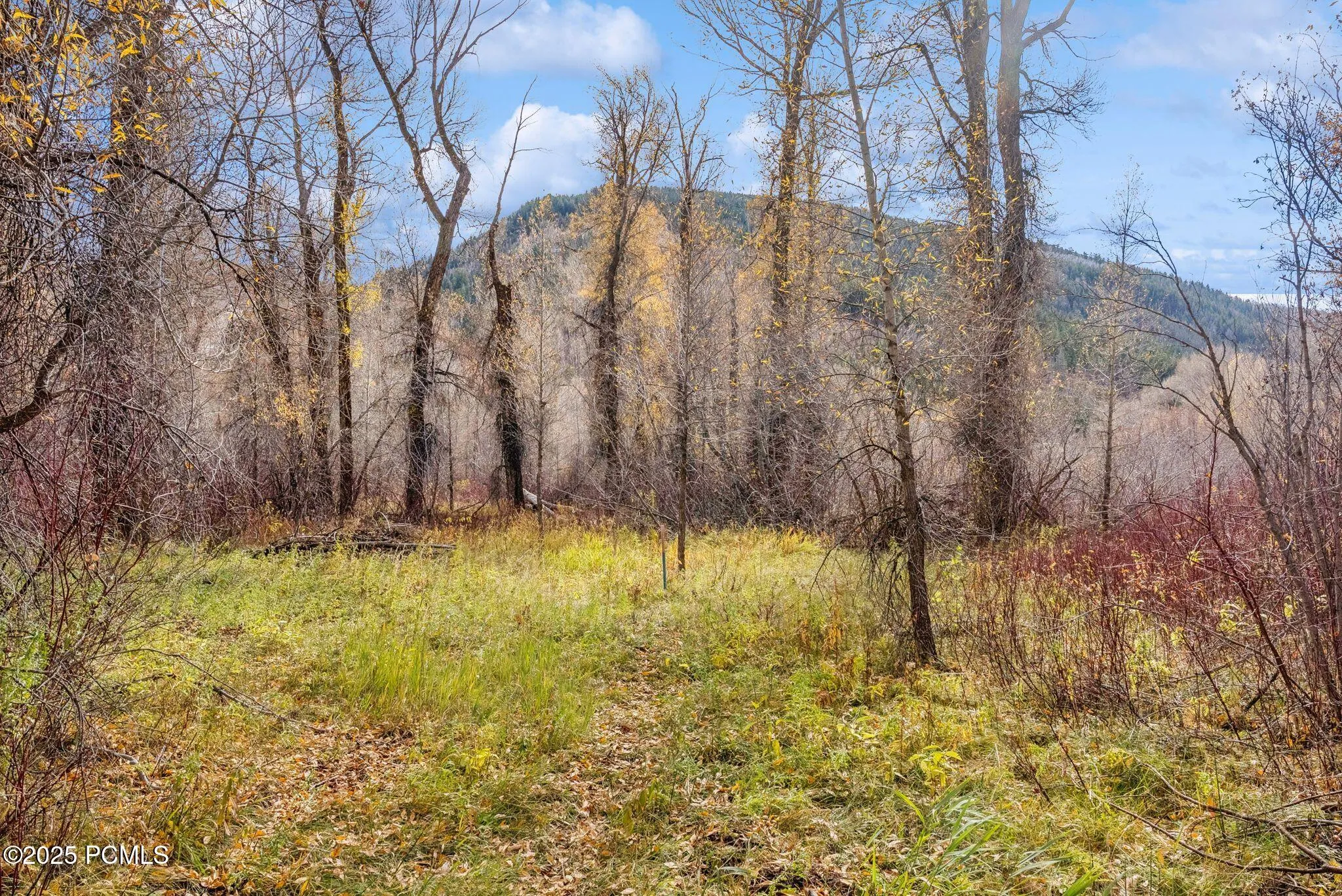 2638 E Weber Canyon Road, Oakley, UT 84055