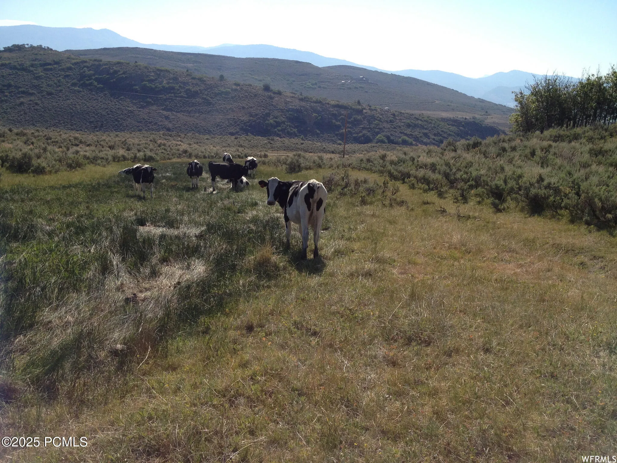 60 Corral Road, Kamas, UT 84036