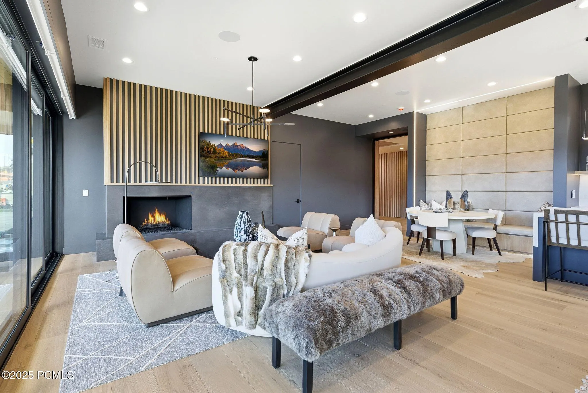 Entertainment Room