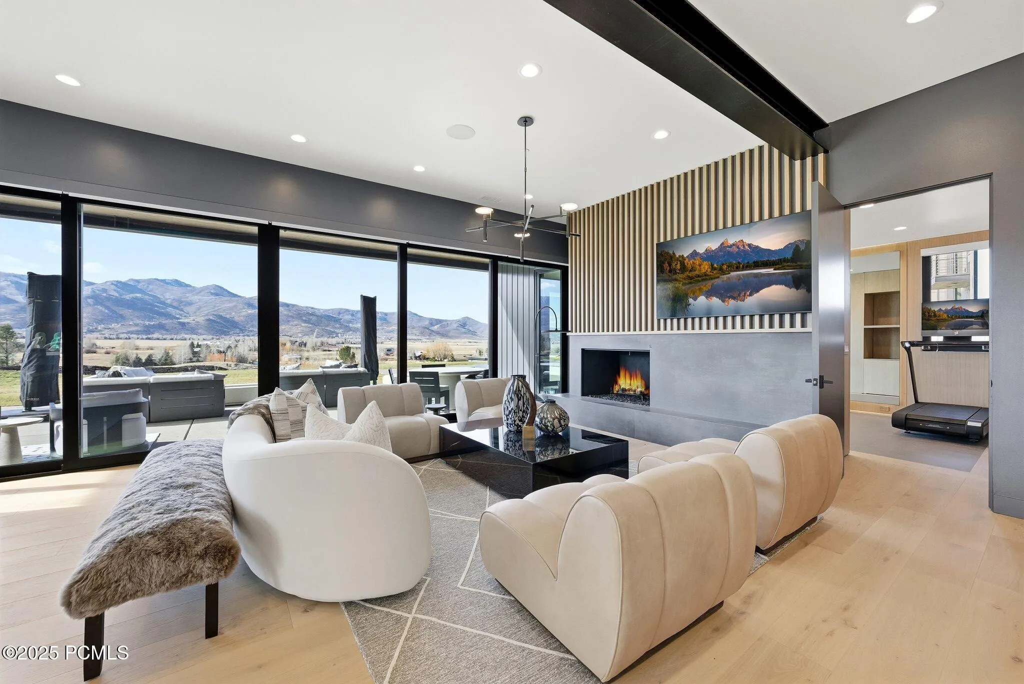 Entertainment Room