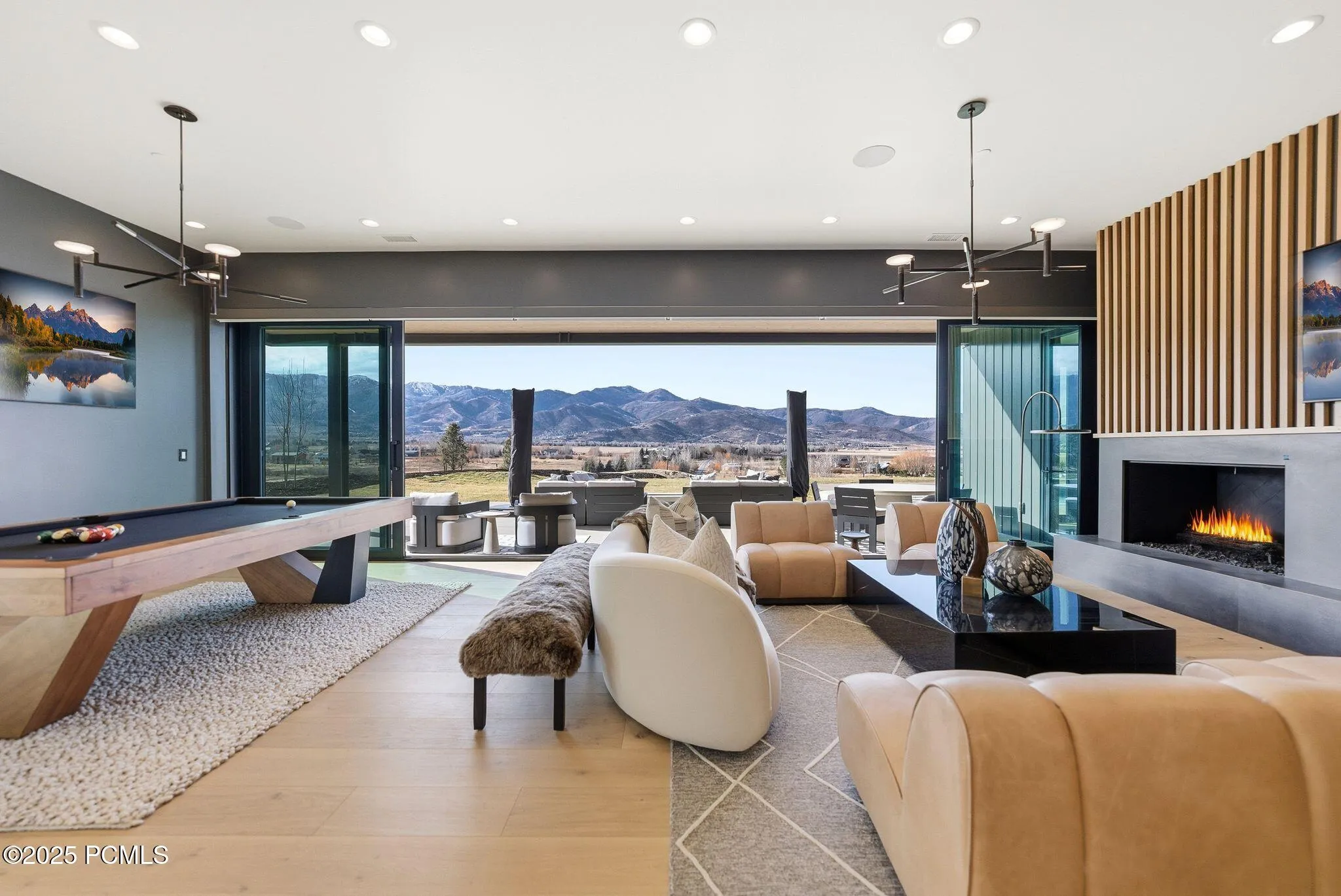 Entertainment Room