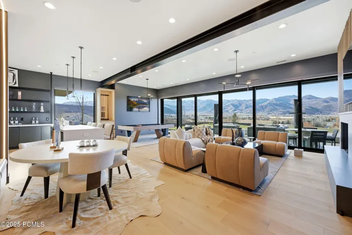 Entertainment Room