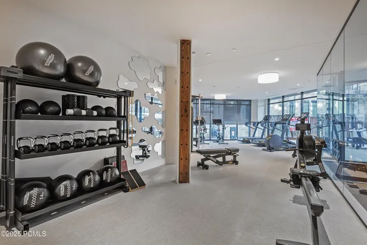 amenity gym