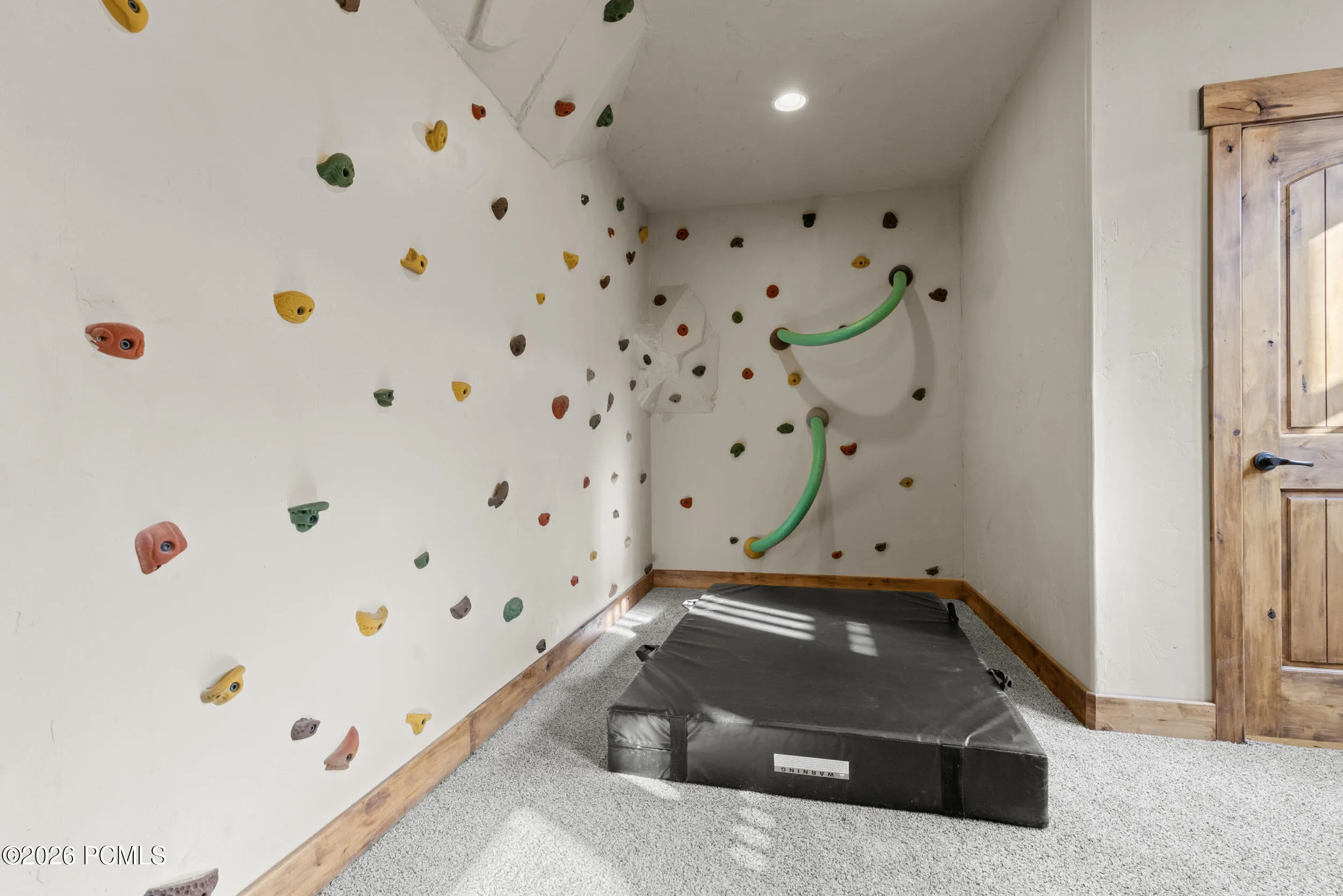 Entertainment Room- Climbing Wall