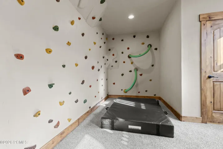 Entertainment Room- Climbing Wall