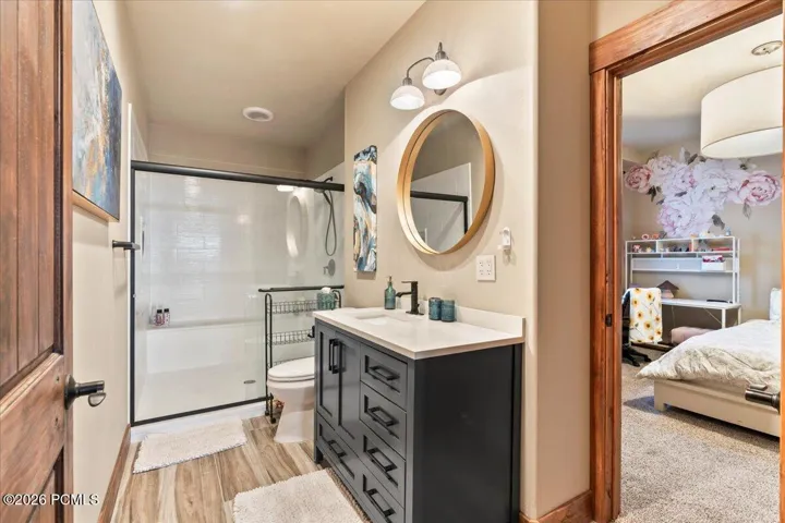 Lower level bathroom