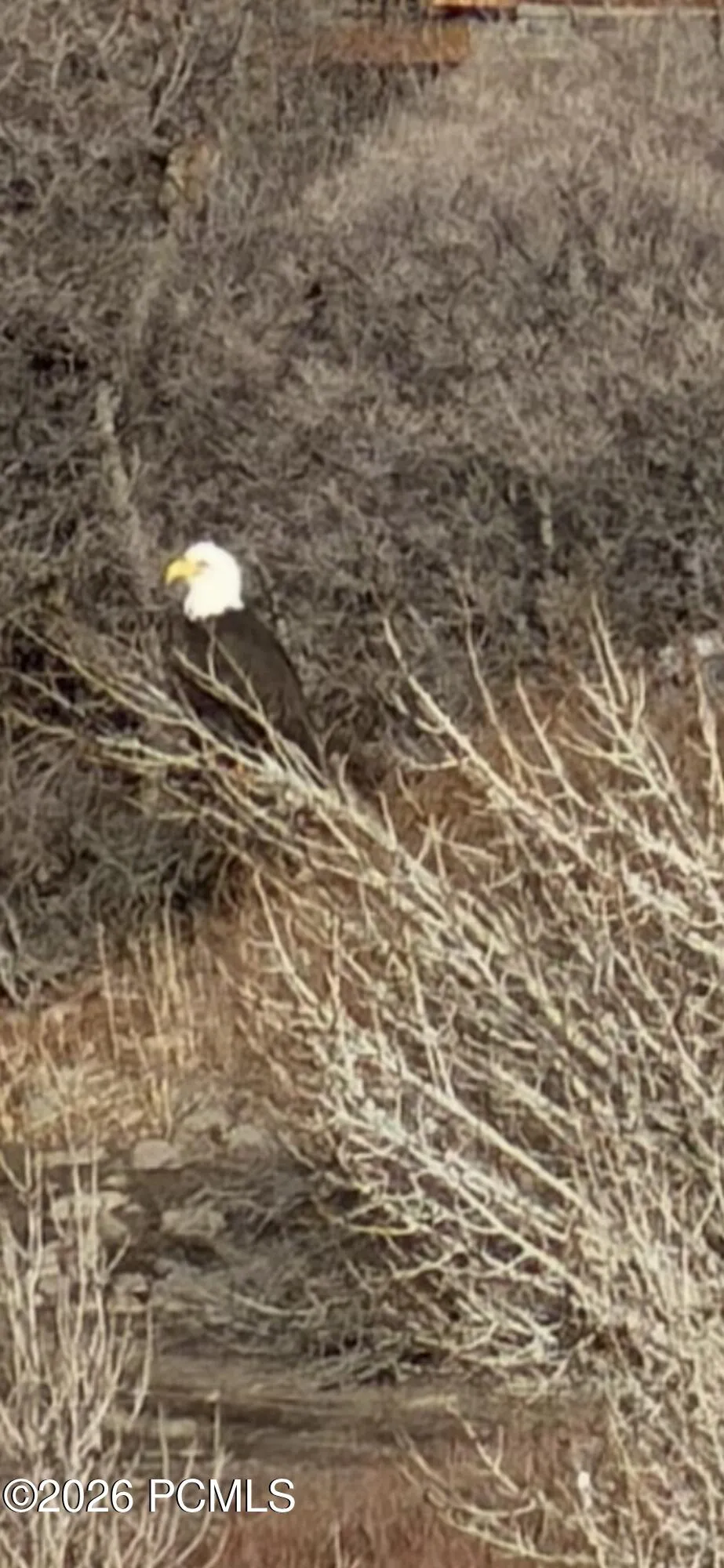 1546 Clyde Lake Drive, Heber City, UT 84032