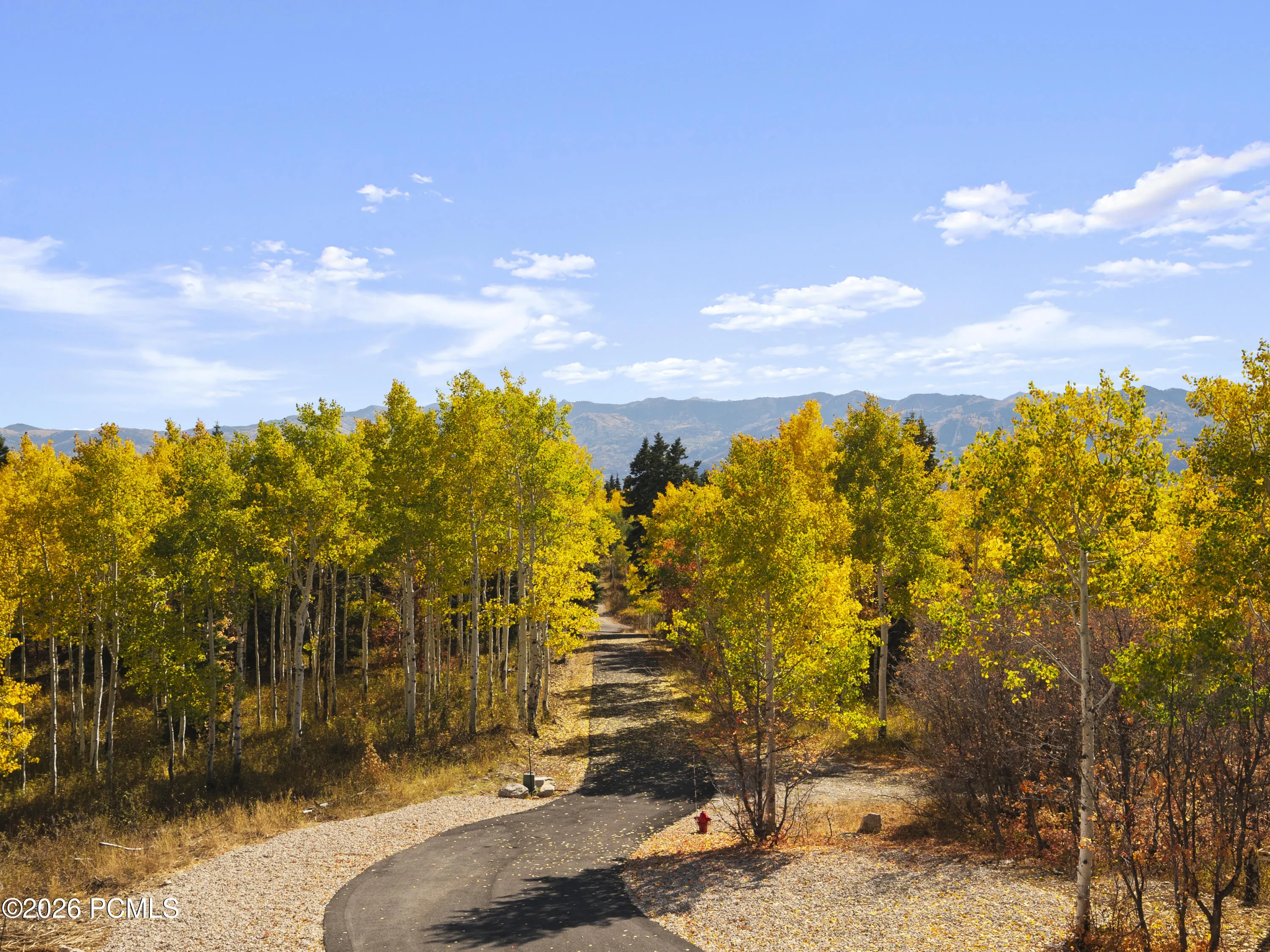 Driveway in