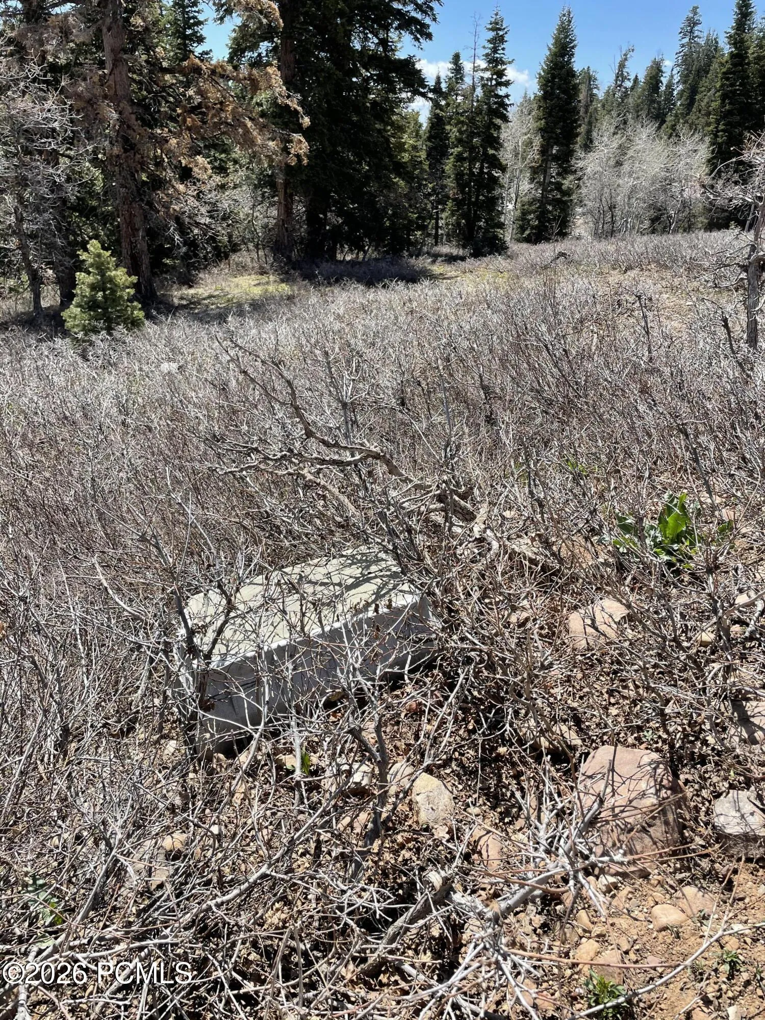 2271 Deer Loop, Coalville, UT 84017