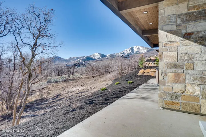 Lower Level patio