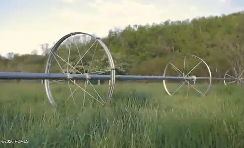 Field Wheel Line