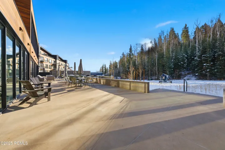 The Polly - Ski deck