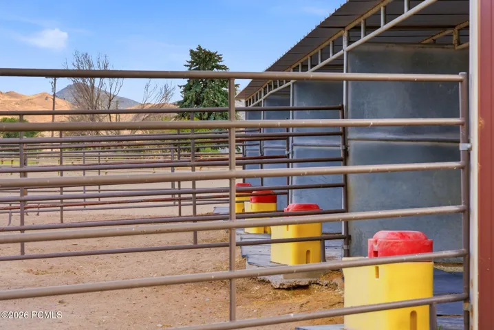 Mare Motel
4 stalls/runs
Breezeway, water, power, lights, and Ritchie automatic heated waterers.