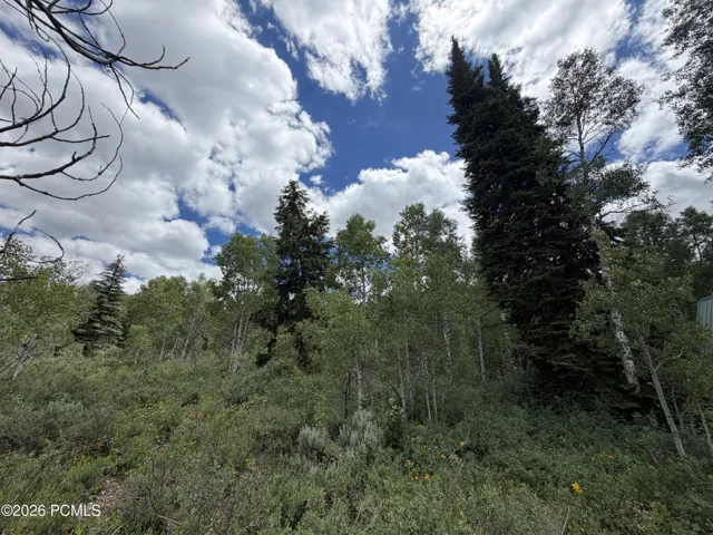 View from lot