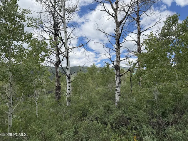 View from lot