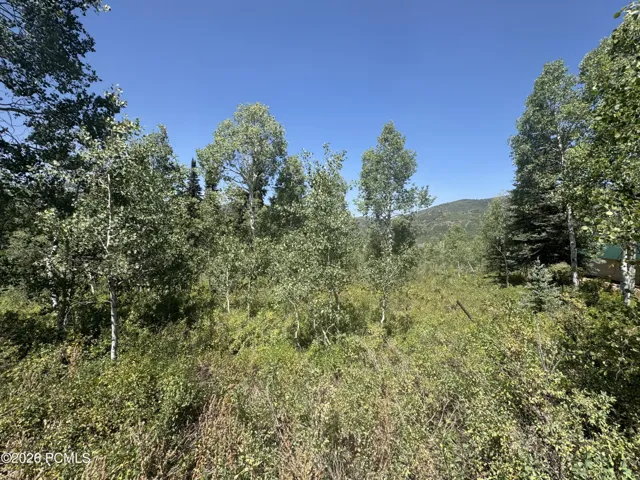 View from lot