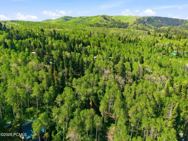 Drone view of cabin nestled in the wooded Timberlakes community.