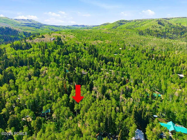 Drone view highlighting the cabin's private location on 1.03 acres, nestled among mature pines with natural mountain surroundings.
