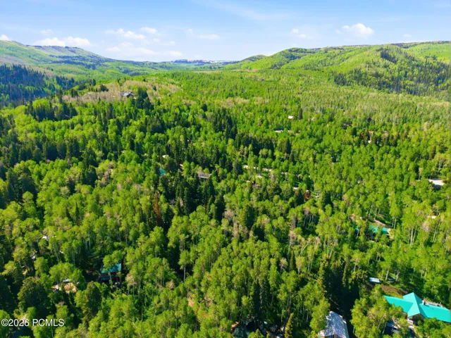 Elevated aerial view providing a broader look at the Timber Lakes community, featuring forested lots, mountain views, and year-round accessibility.
